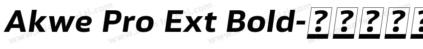 Akwe Pro Ext Bold字体转换